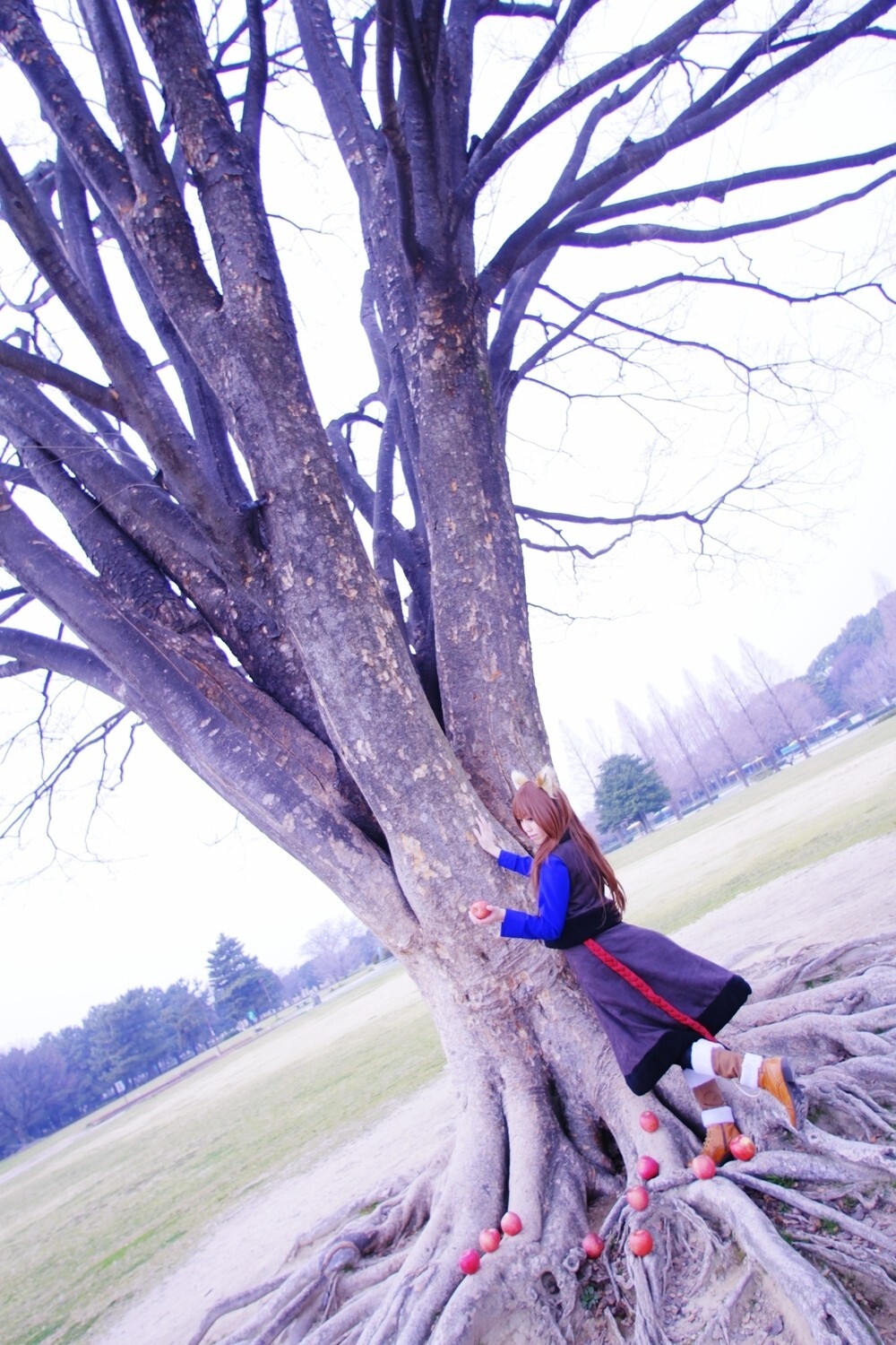 [Cosplay] 2013.04.13 Spice and Wolf Hot Cosplay